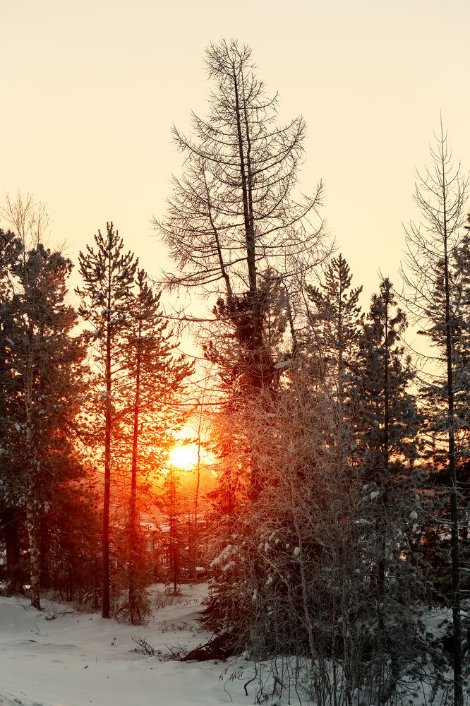 Photograph by Александр Слепцов