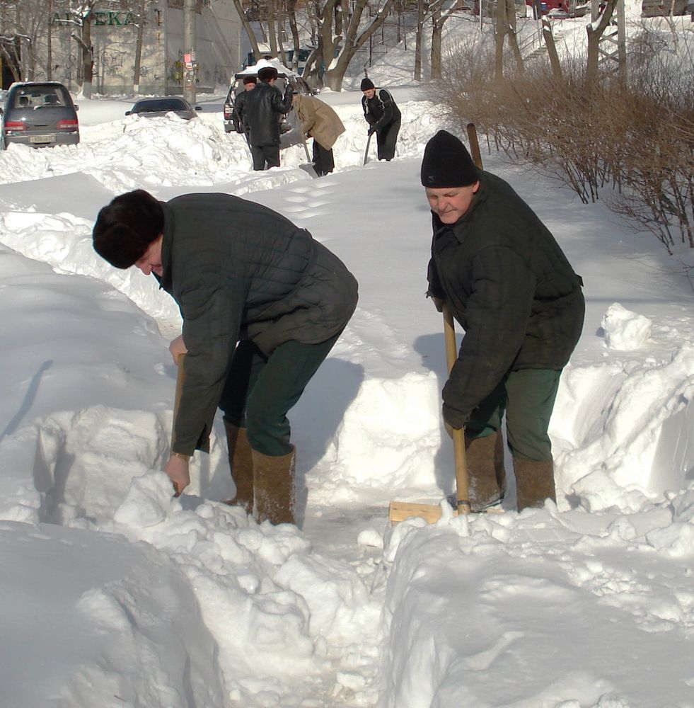 Фотография автора АЛЕКСАНДР ЦЫГЕЛЬНЮК