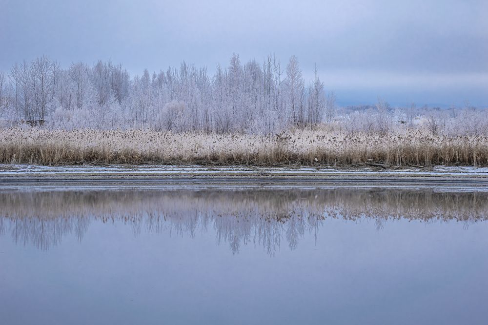 Photograph by 