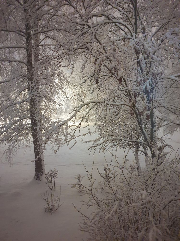 Photograph by Ольга