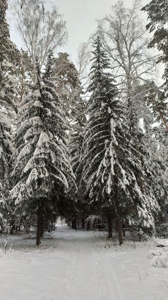 Photograph by Юлия Майкова