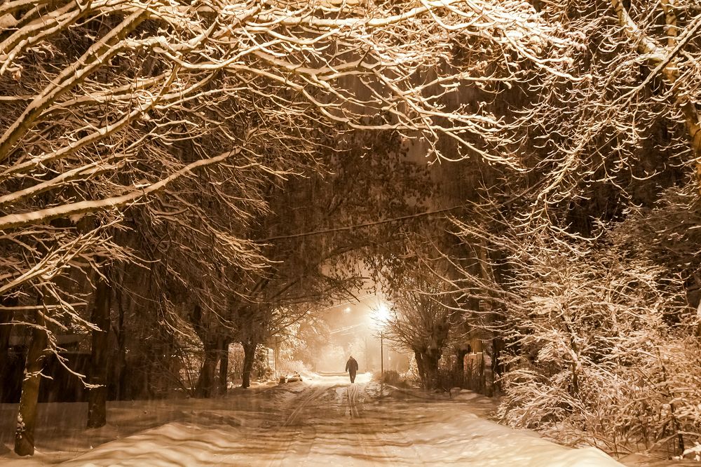 Photograph by Марина Суздаль