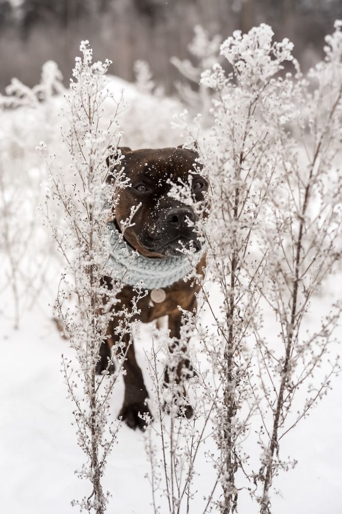 Photograph by Марина Суздаль