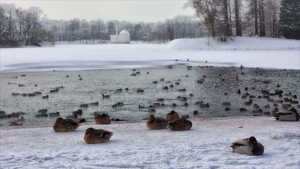 Photograph by Игорь Майоров