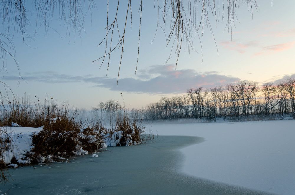 Photograph by Редько Александр