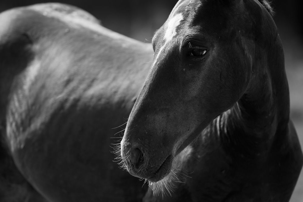 Photograph by Ольга