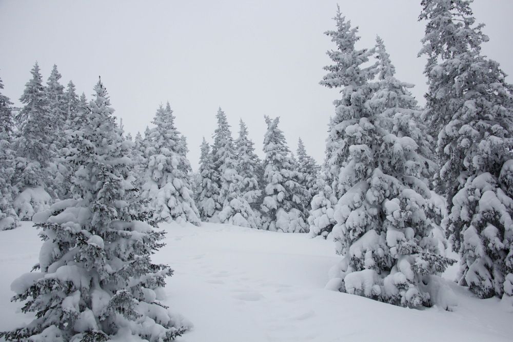 Photograph by Ольга