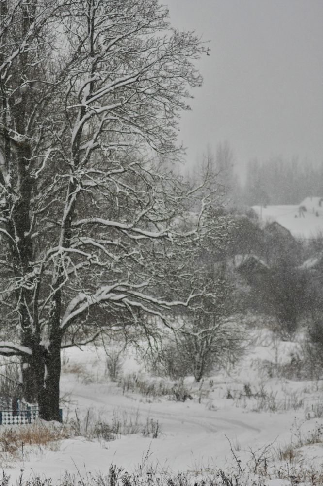 Фотография автора Настя