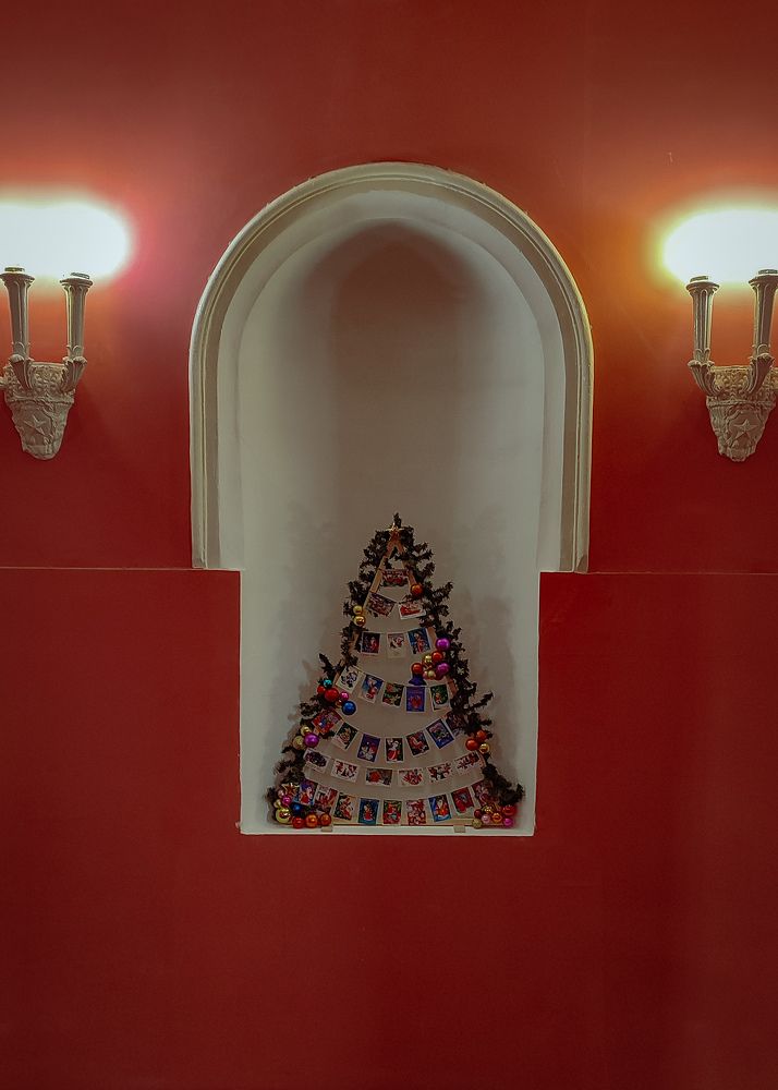 Фотография автора Анастасия Мамаева