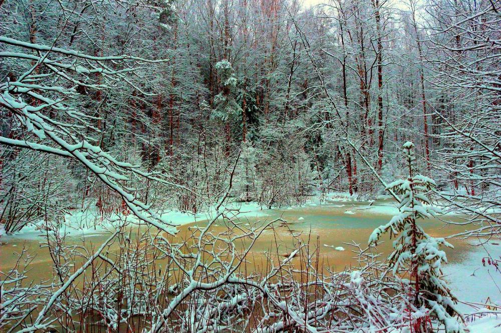 Photograph by салим насыпов