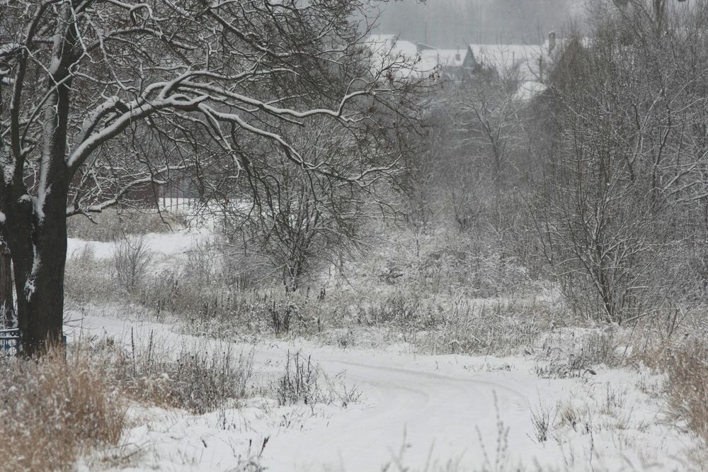 Фотография автора Настя