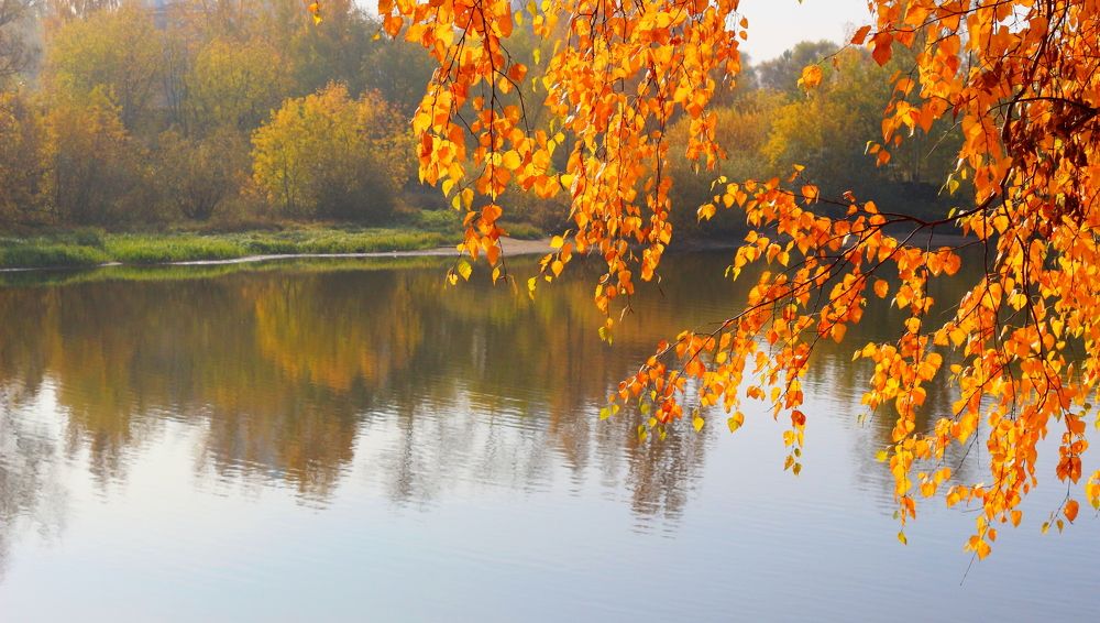 Photograph by салим насыпов