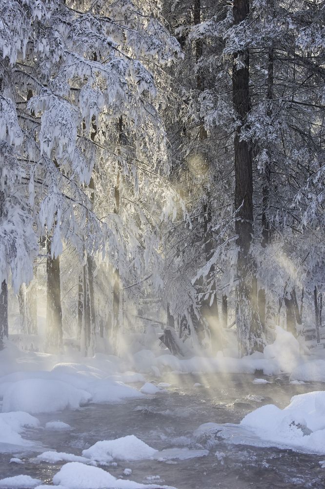 Photograph by Байбородин Михаил