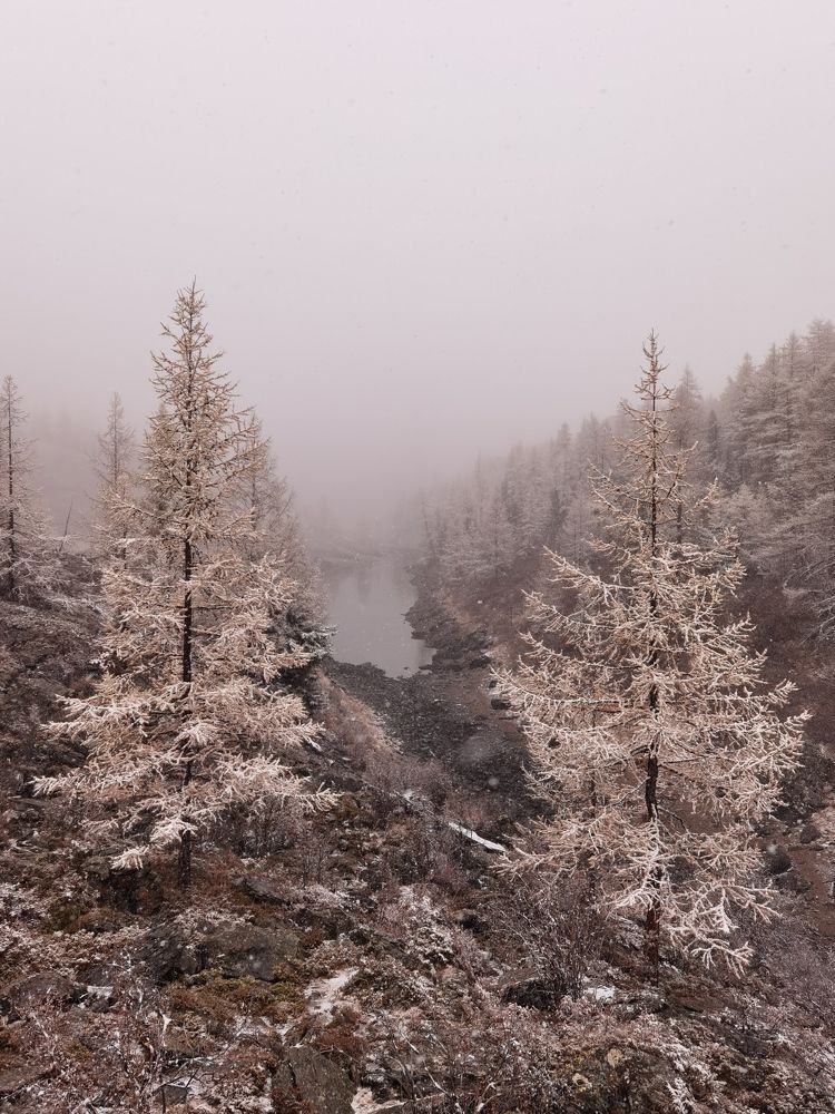 Photograph by Константин Пешков