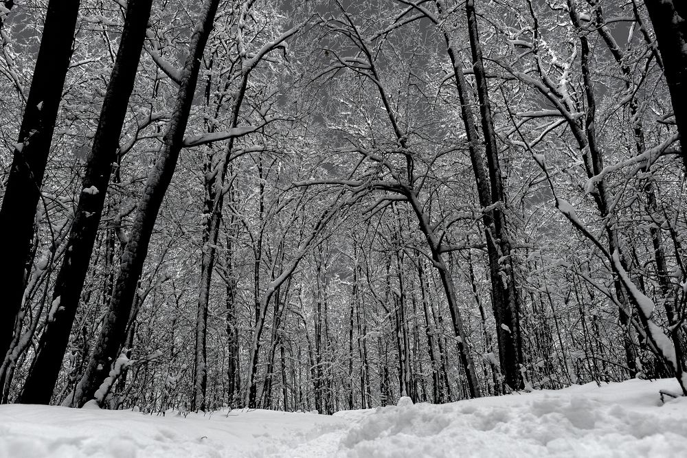 Photograph by Александр Беляков