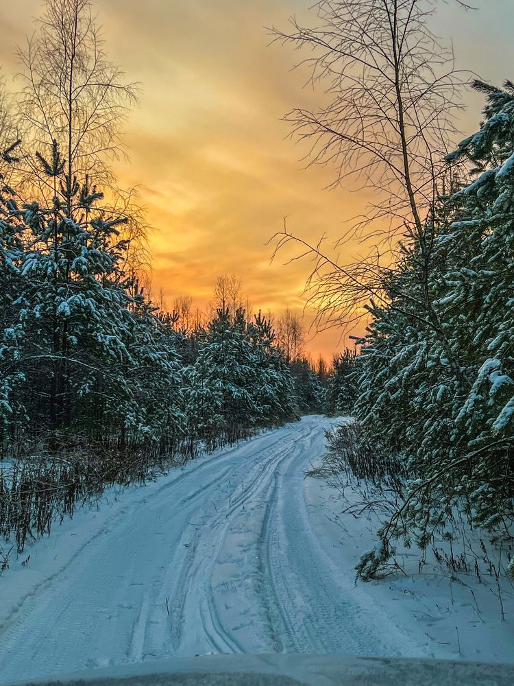 Photograph by Алексей Большаков