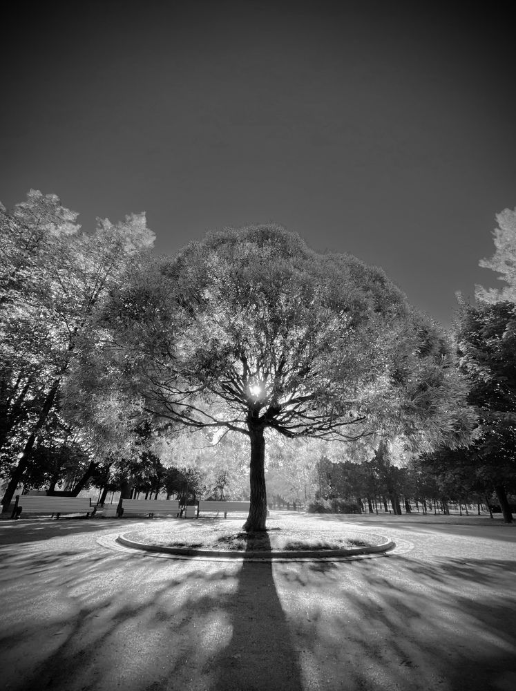 Photograph by Эдуард Сабитов