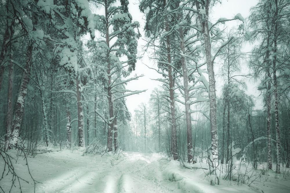 Photograph by Ivan Sazykin