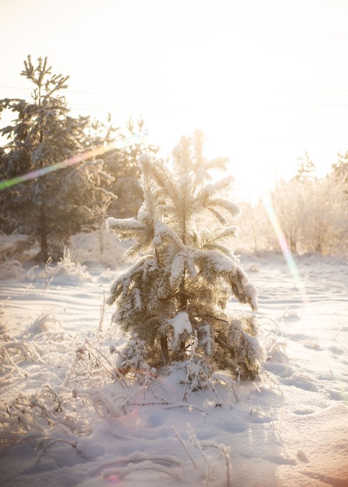 Photograph by Светлана Антипова