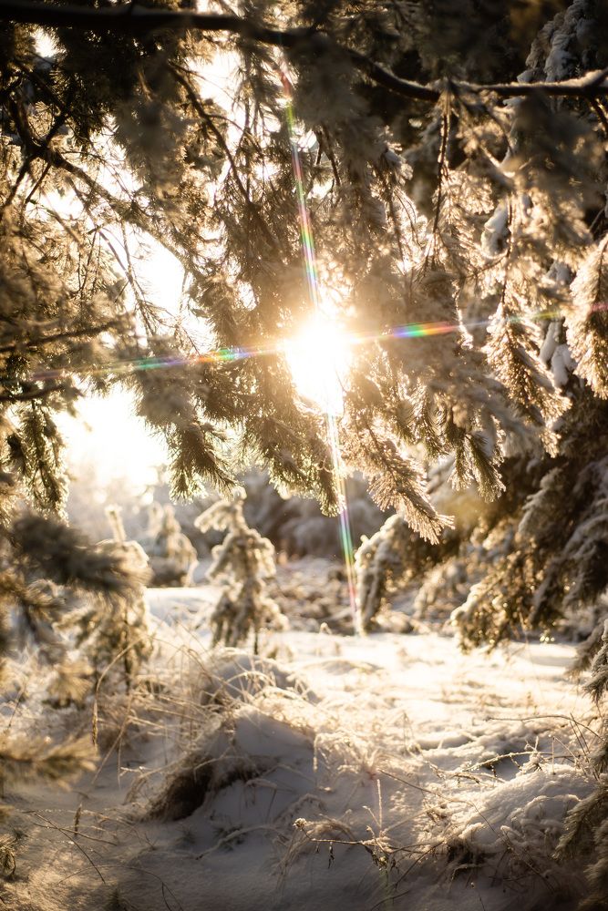 Photograph by Светлана Антипова