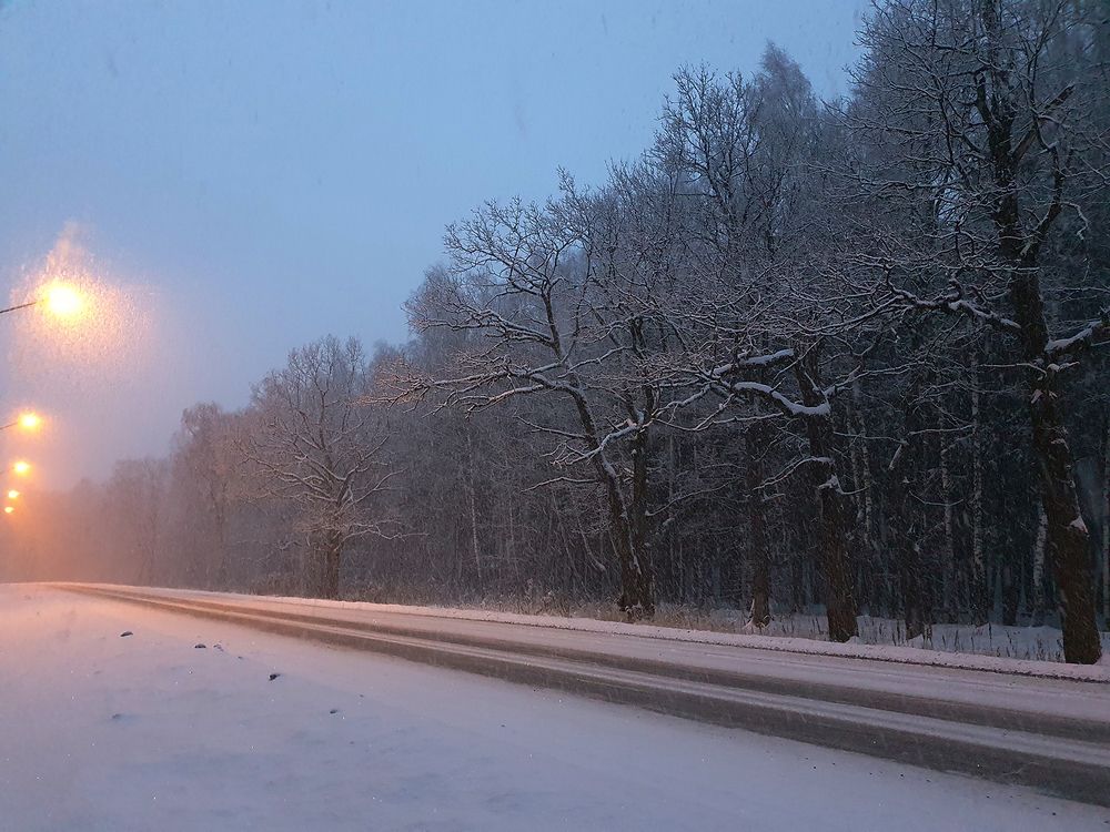 Фотография автора Надежда Лисицына