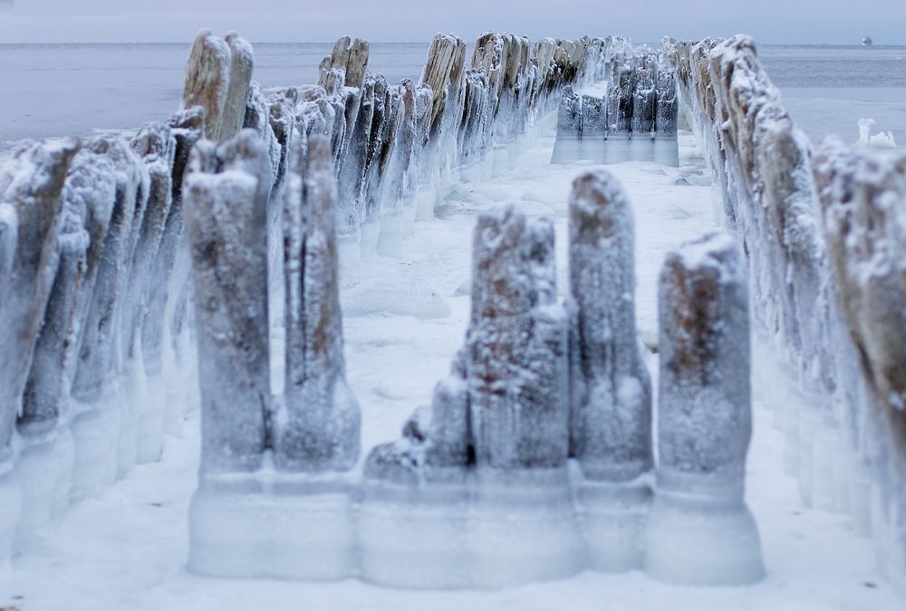 Photograph by Екатерина Тишакова