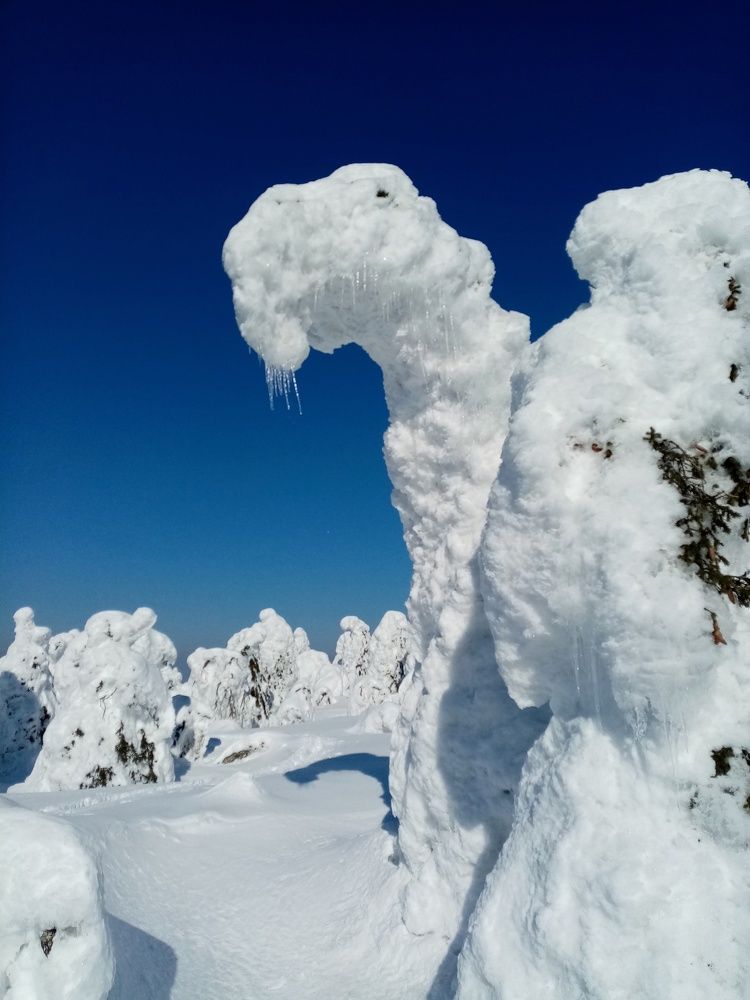 Photograph by Ирина Анкушина
