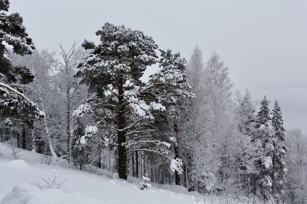 Фотография автора Nadezhda