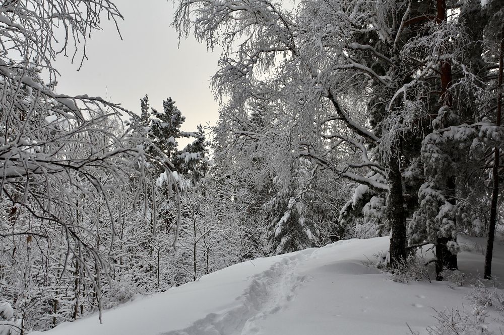 Фотография автора Nadezhda