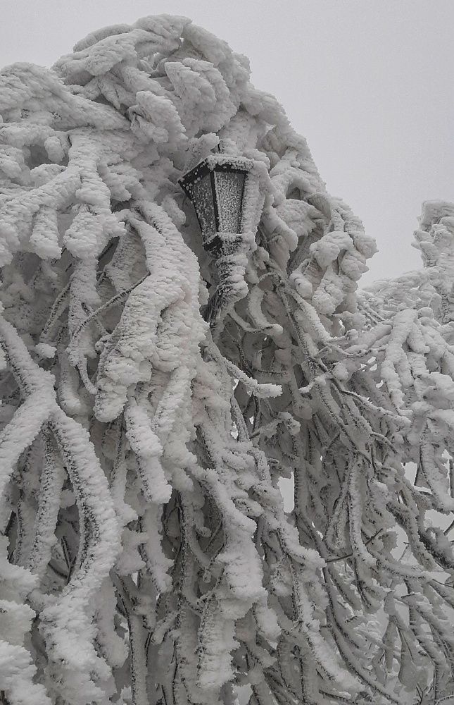 Photograph by Андрей Прокопенко