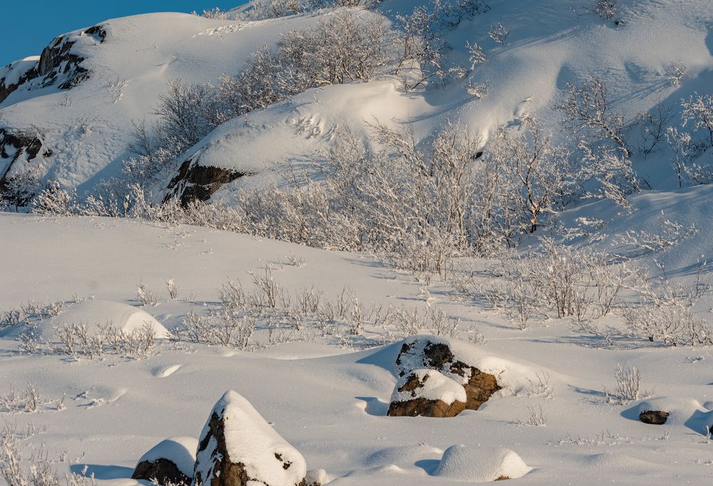 Photograph by Andrei