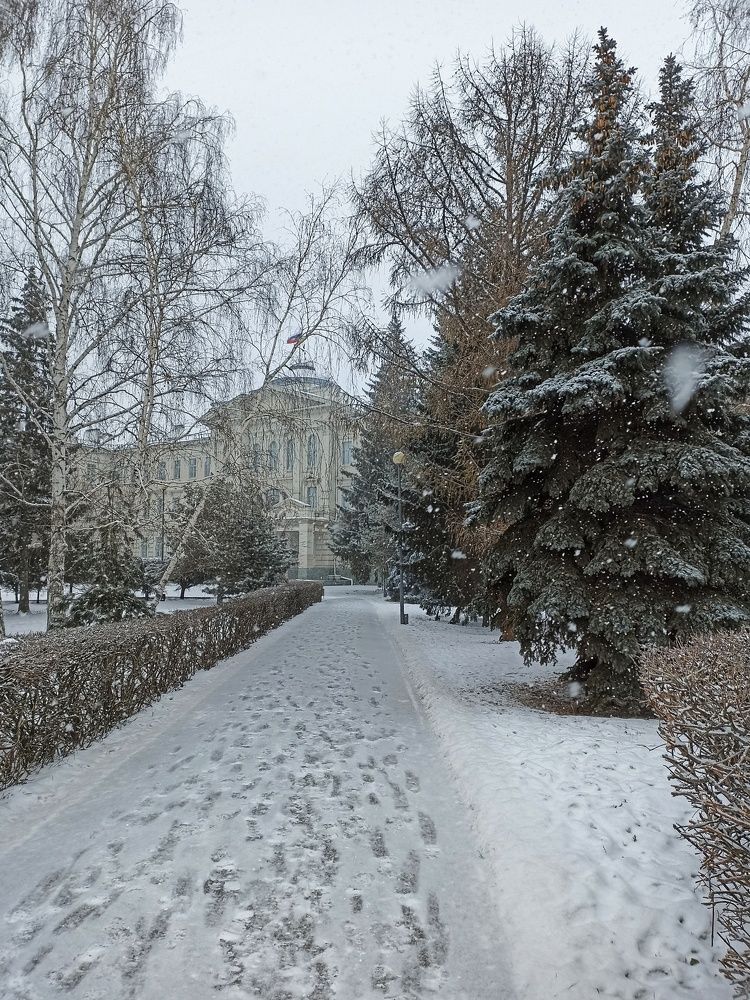 Долгожданный снег