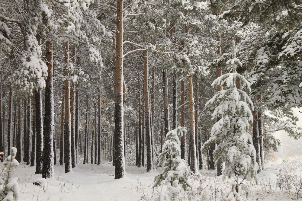 Photograph by Леунина Людмила