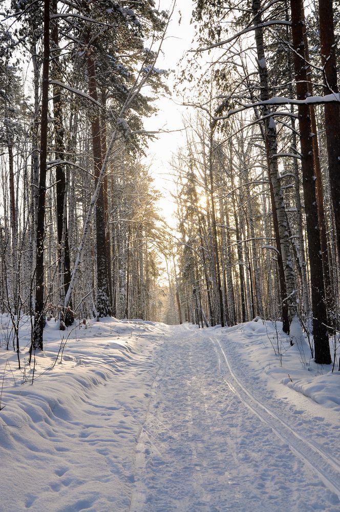 Photograph by Юлия Козельских