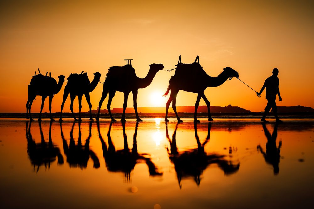 Photograph by Adrian Grigore