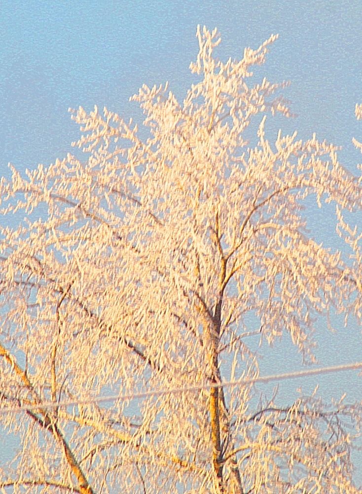 Photograph by Николай Николаевич Леухин