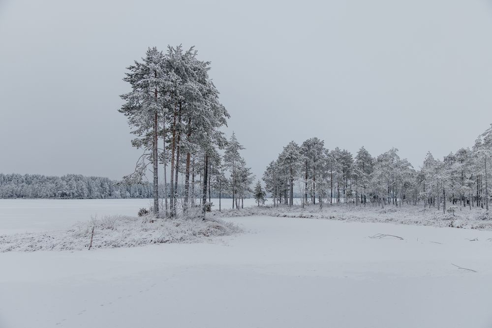 Photograph by Андрей Сериков