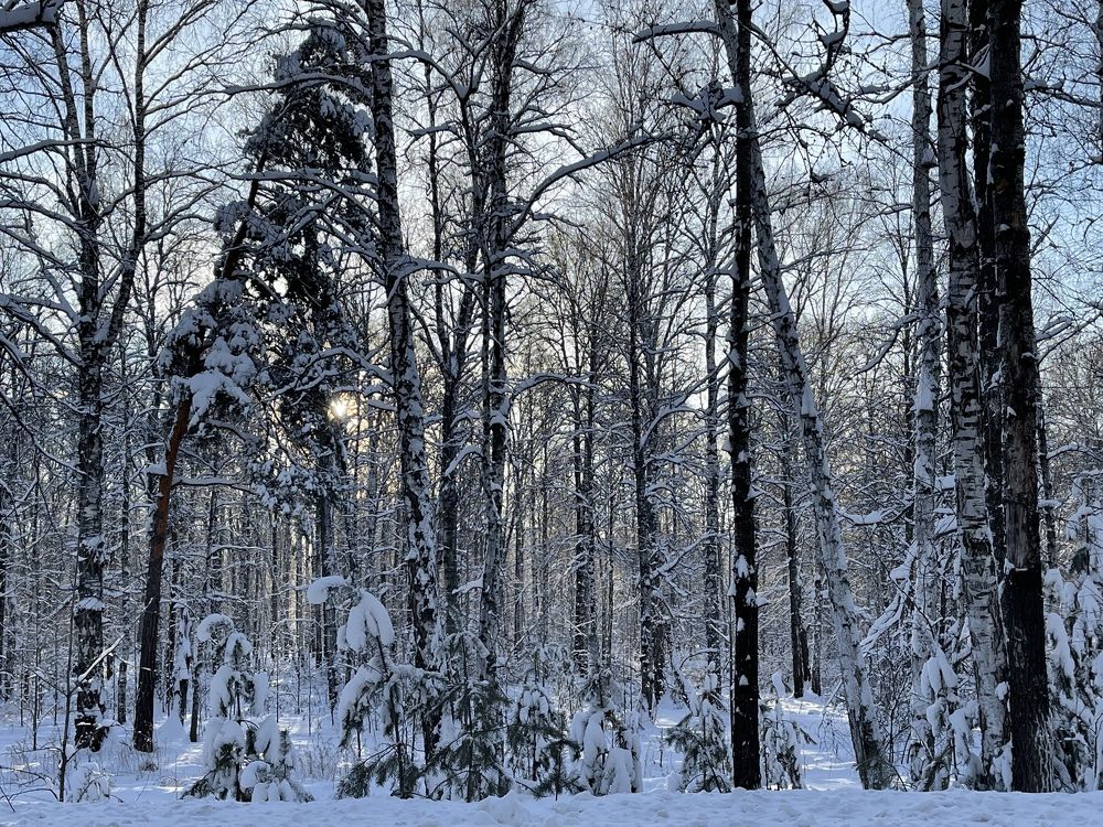 Photograph by Татьяна Аксёнова