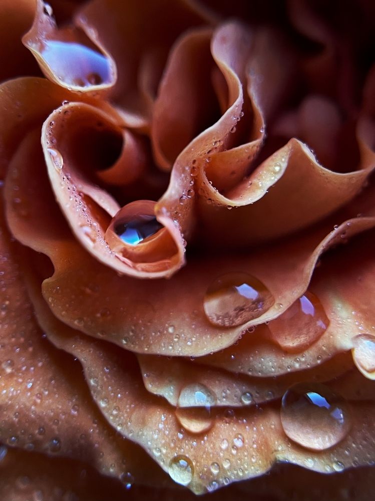 Photograph by Александа Жильцова