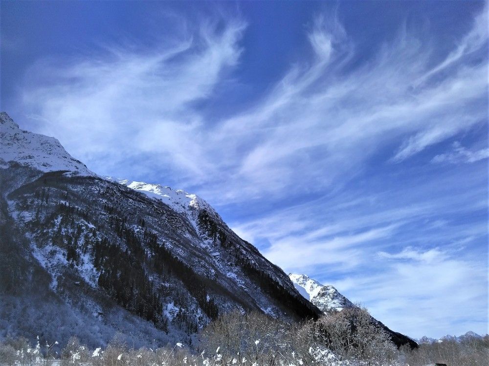 Photograph by SAFRON