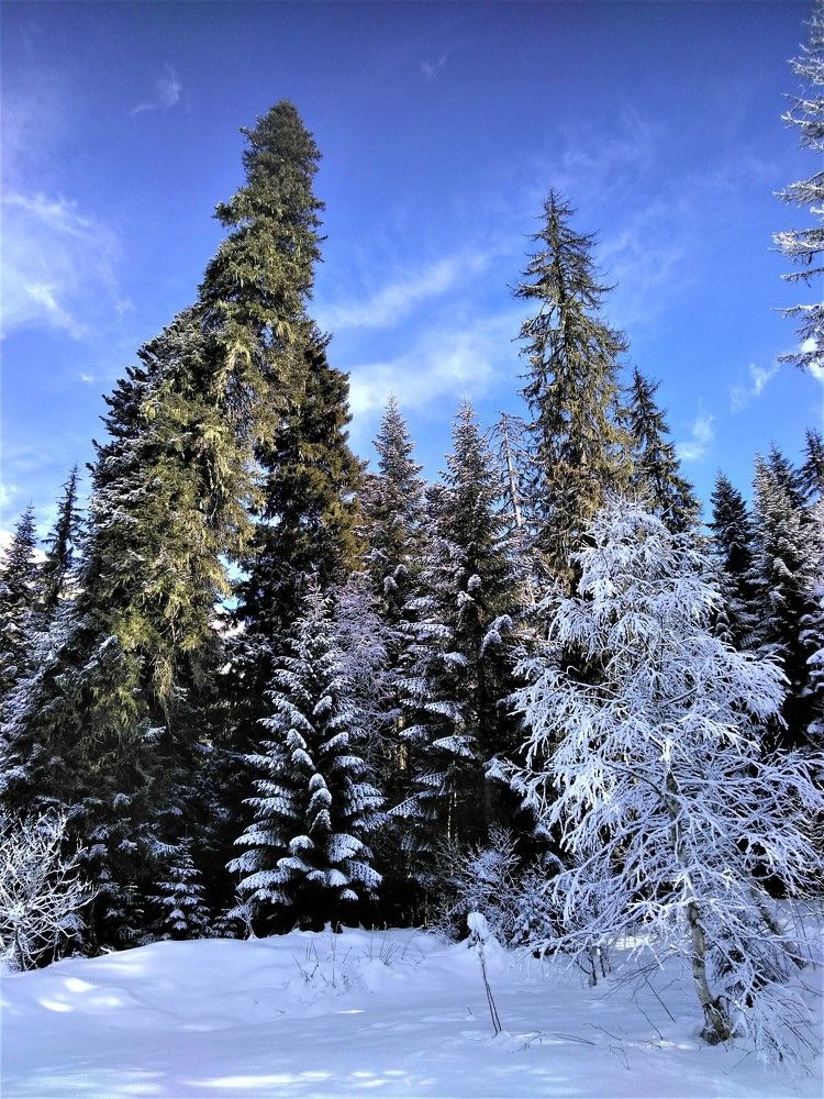 Photograph by SAFRON