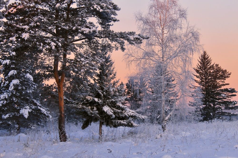 Photograph by Леунина Людмила