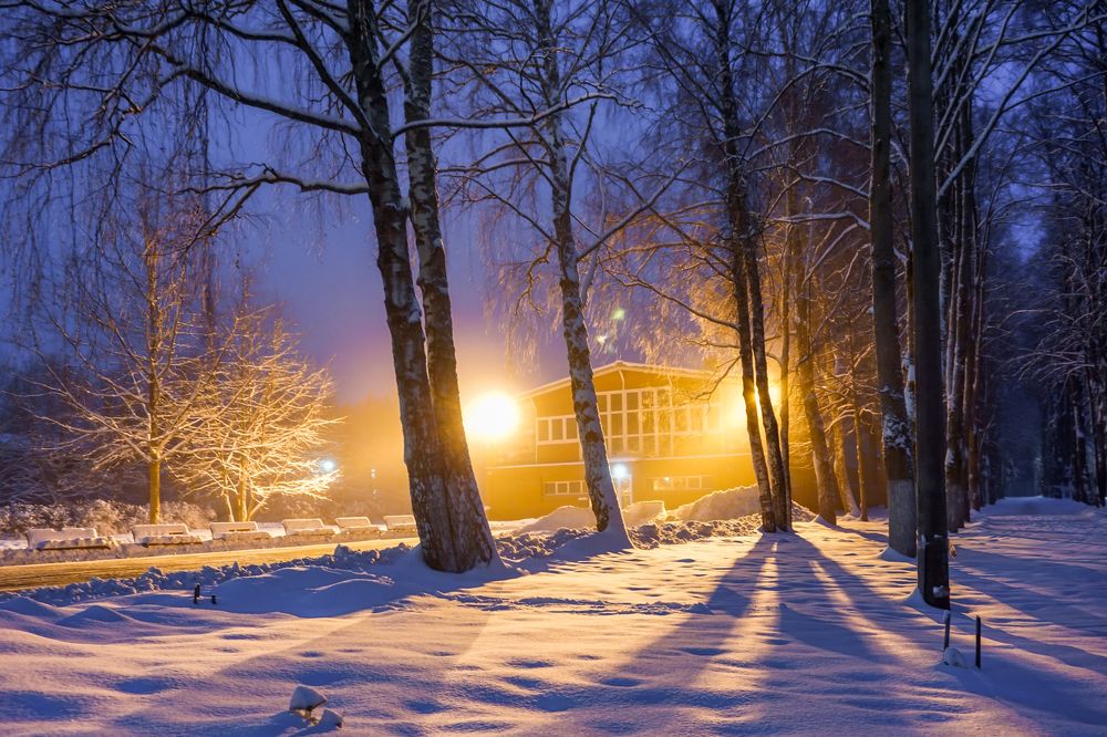 Photograph by Алина Аркатова