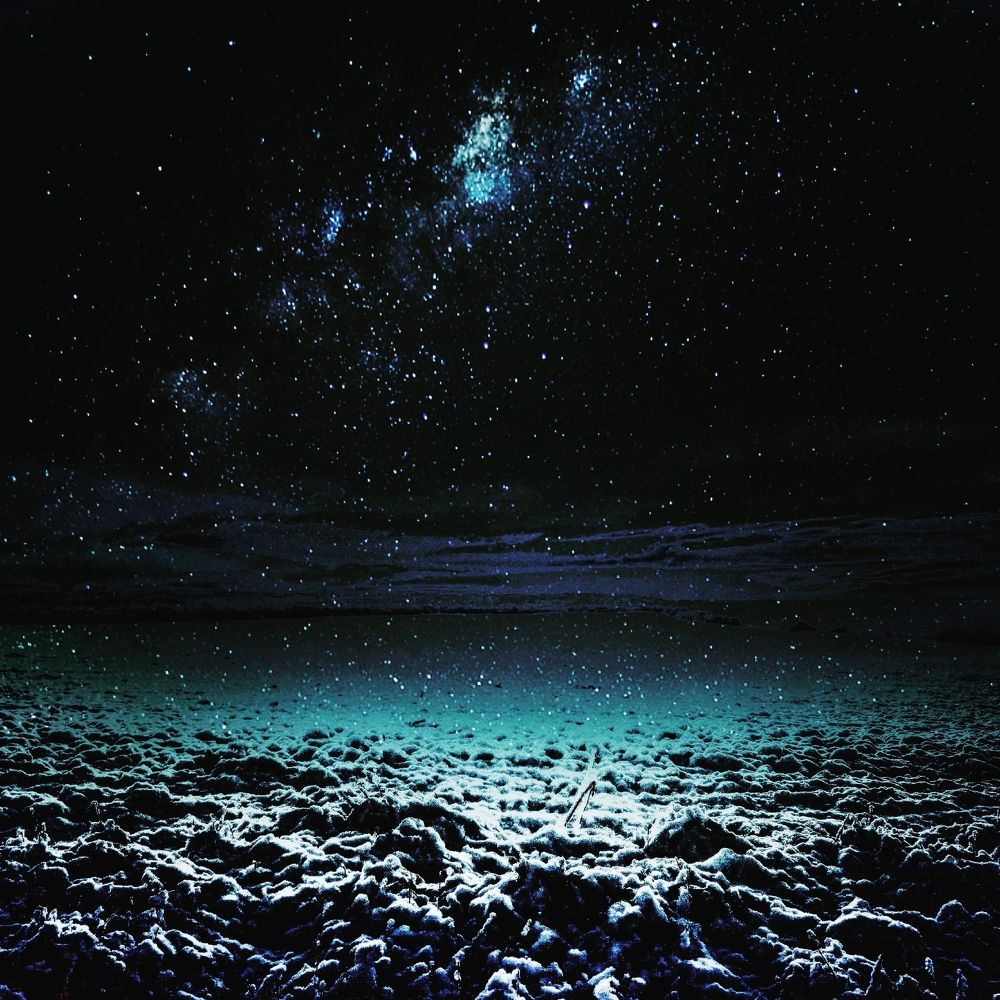 Photograph by Nikolett Mengyi