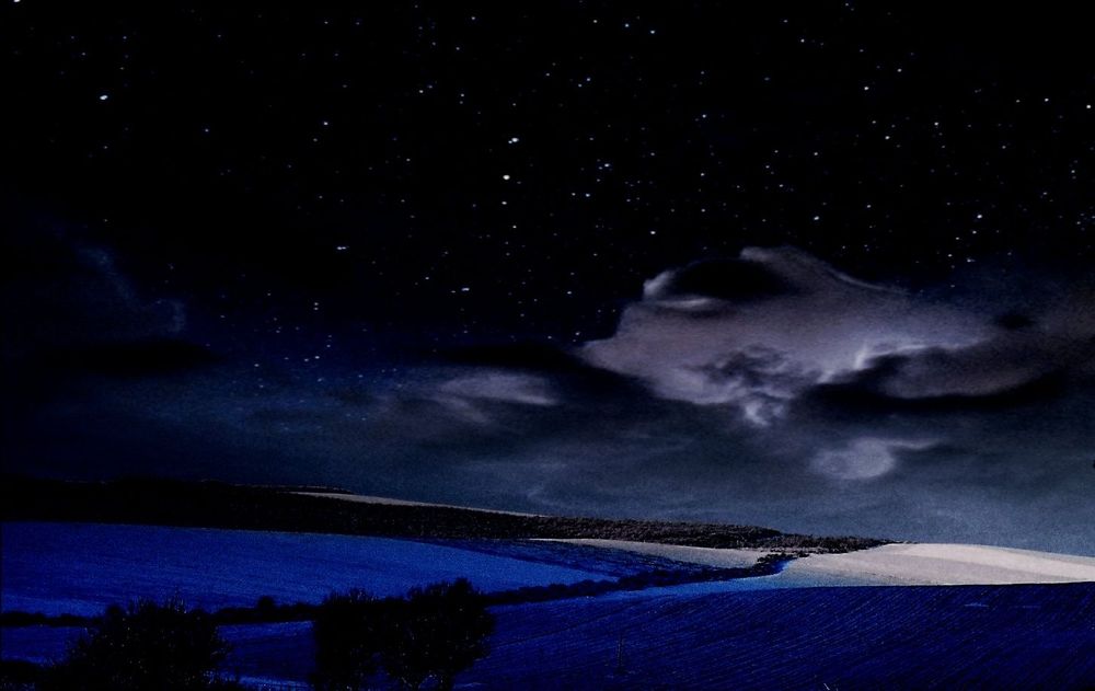 Photograph by Nikolett Mengyi