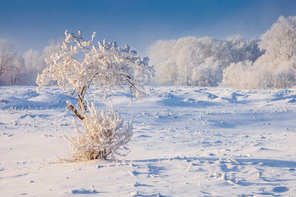 Синий-синий...