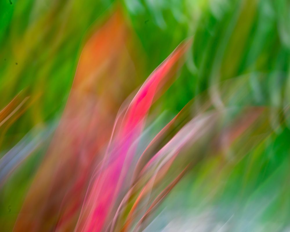 Фотография автора Khushjiv Sethi