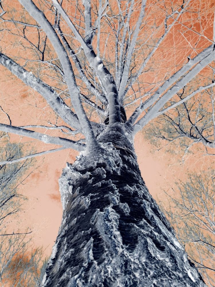 Photograph by Зоя Кулько