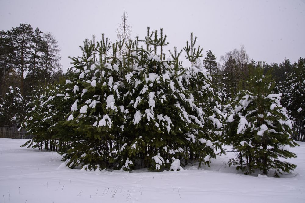 Photograph by Владислав Калинин