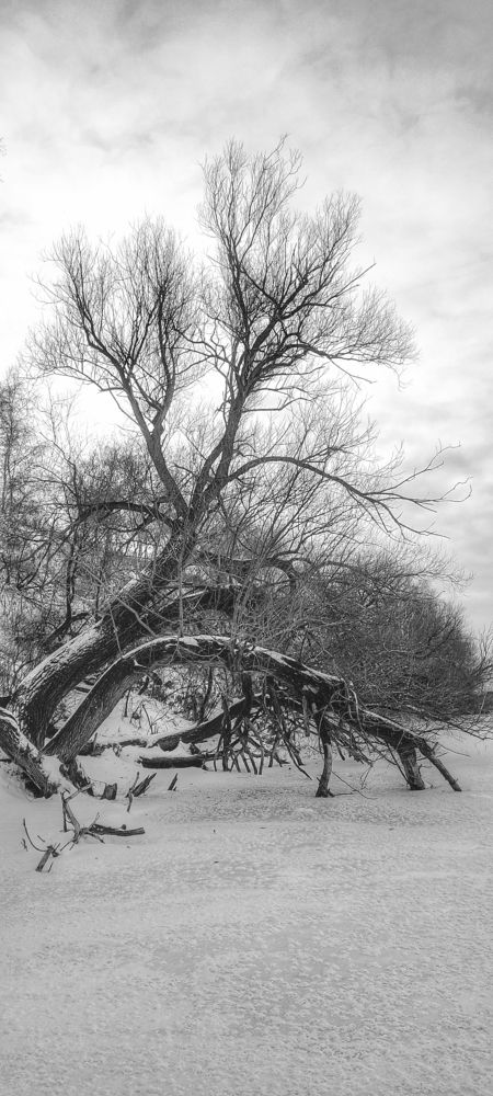 Photograph by Валентин Волк